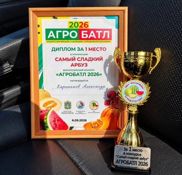 Диплом за 1 место в номинации «Самый сладкий арбуз» конкурса «Агробатл-2026», выдан Карапетову Александру, и кубок